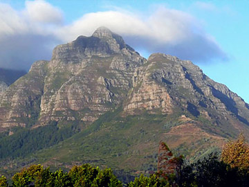 Vanga Studio
